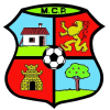 https://img.0531miantan.com/img/football/team/8247c6346f02840132738081e3cd62df.png