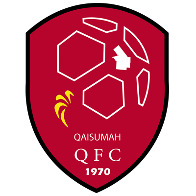 https://img.0531miantan.com/img/football/team/b155714d7a8b3230696693bba8181b6d.png